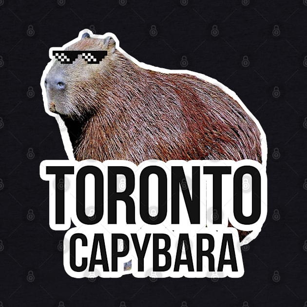 Toronto capybara meme by NeedsFulfilled